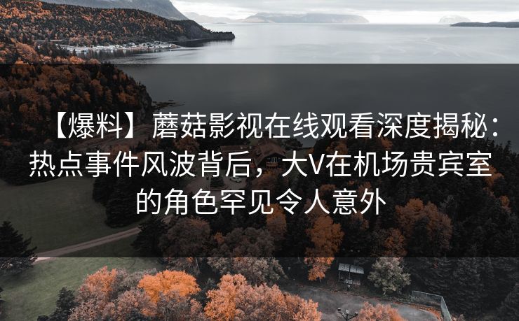 【爆料】蘑菇影视在线观看深度揭秘：热点事件风波背后，大V在机场贵宾室的角色罕见令人意外