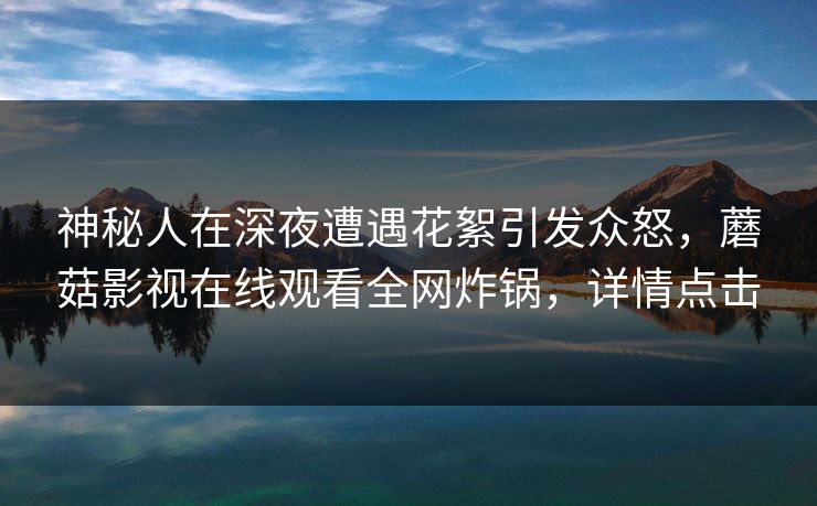 神秘人在深夜遭遇花絮引发众怒，蘑菇影视在线观看全网炸锅，详情点击